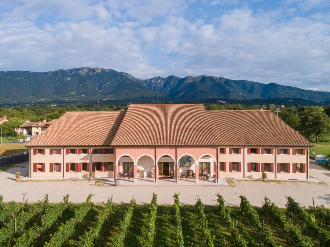 Azienda Agricola Dal Bello Vini景点图片