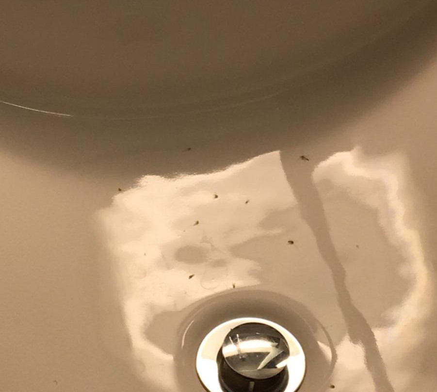 Historic Inns Of Annapolis主图