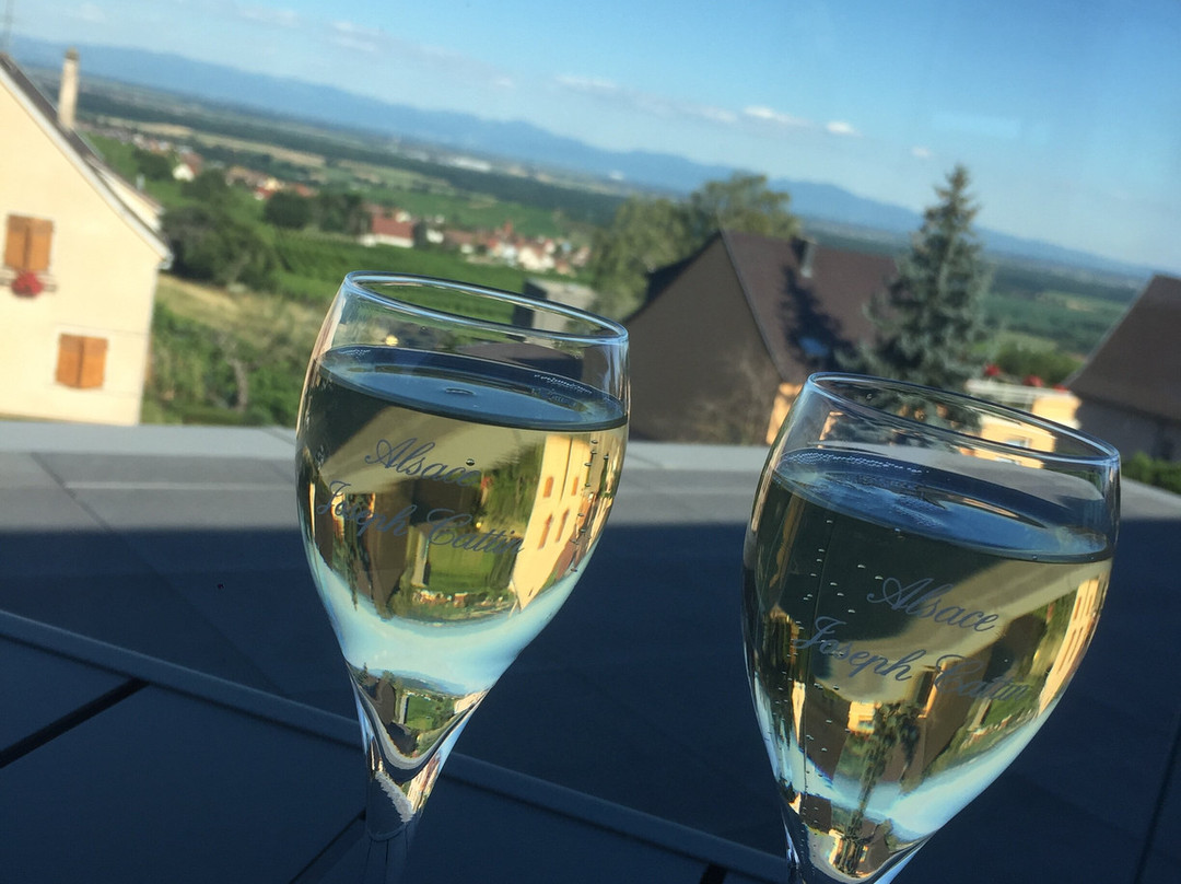 CATTIN - Grands Vins & Cremants d'Alsace-Voegtlinshoffen必去景点