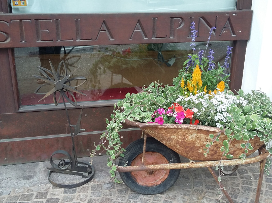 Hotel Stella Alpina主图