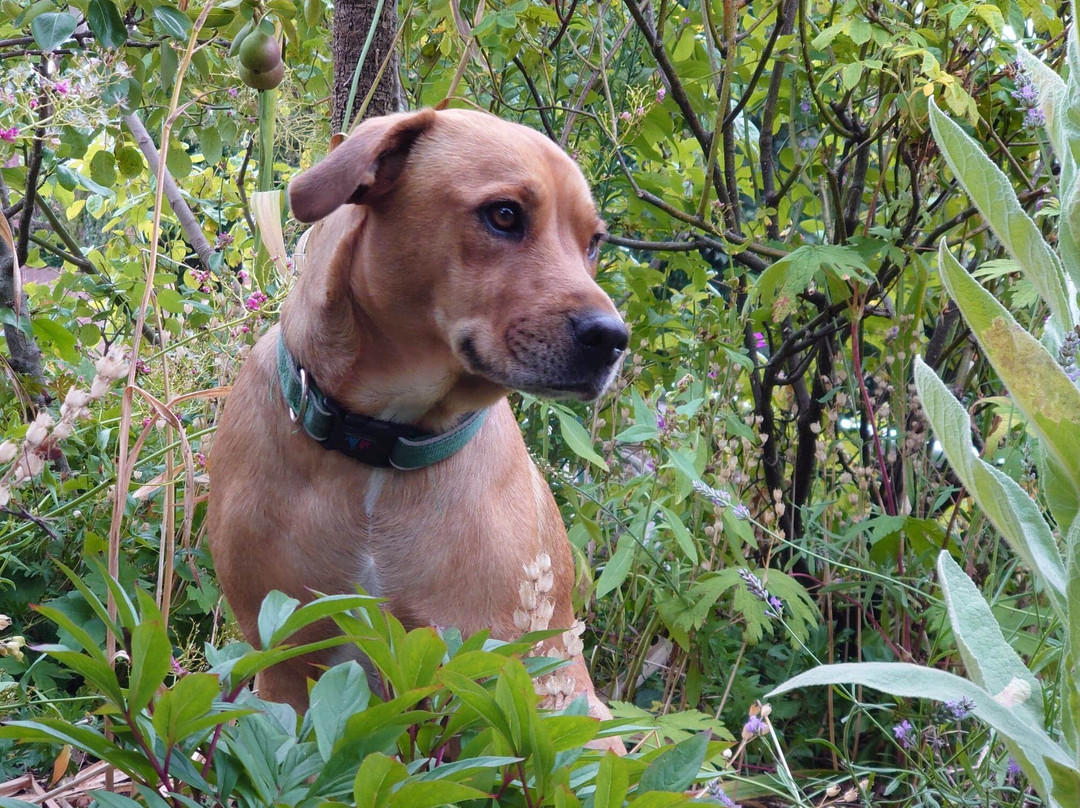 The Minadab Cottage主图