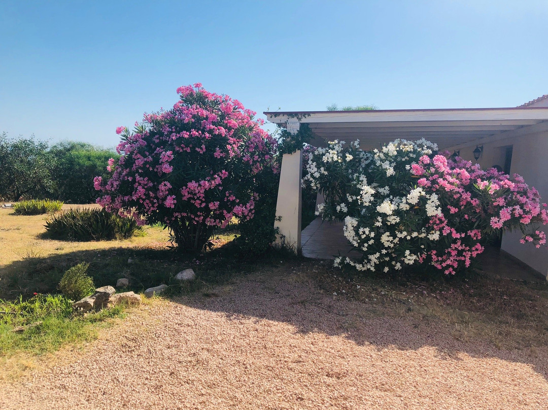 Borgo Alba Barona主图