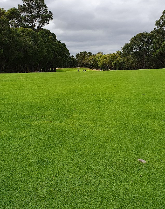 Margaret River Golf Club-玛格丽特河必去景点