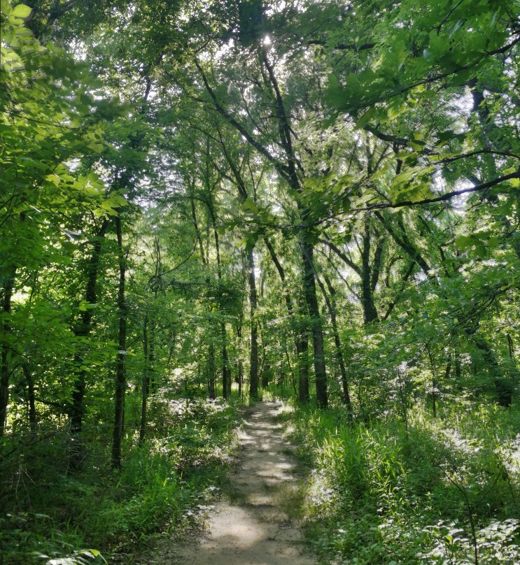 Mohawk Park-塔尔萨必去景点