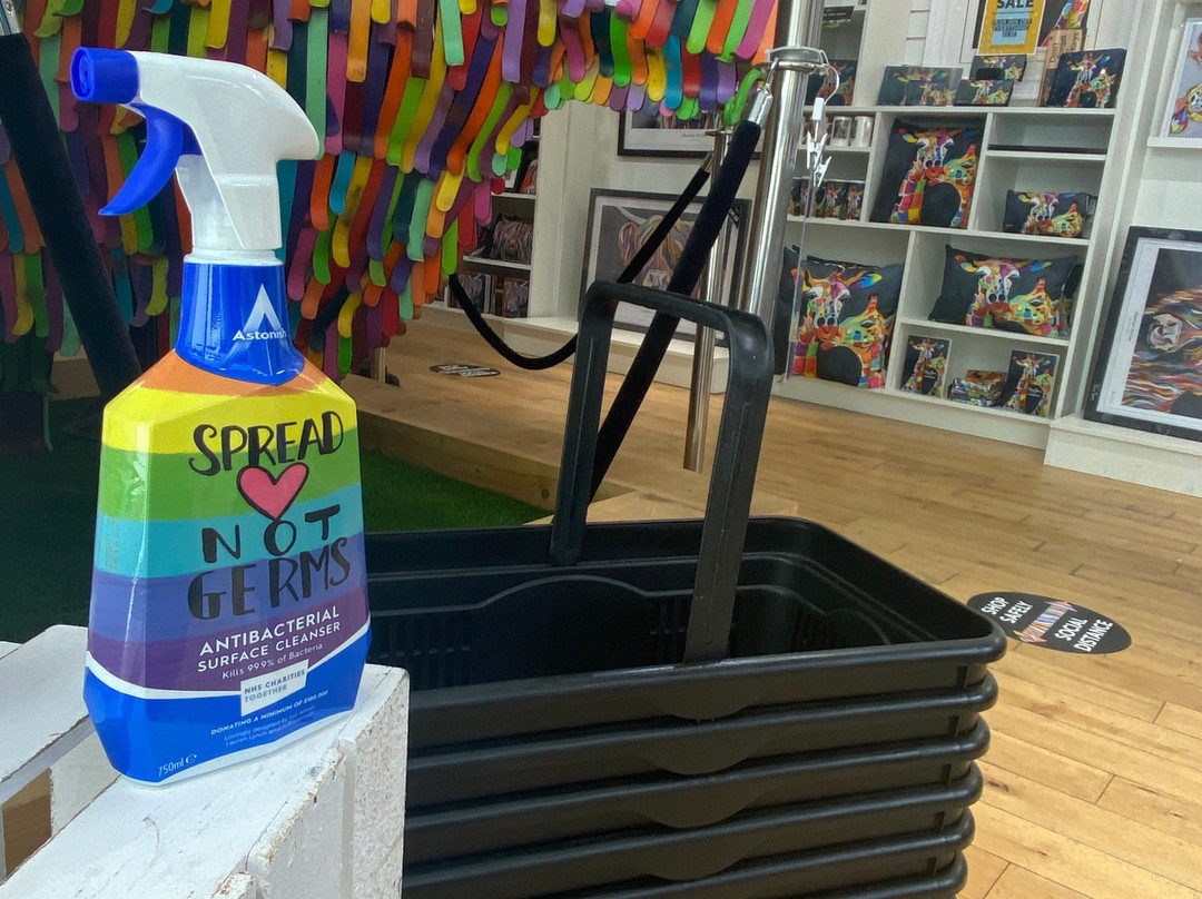 Steven Brown Art & Lifestyle Retail Store景点图片