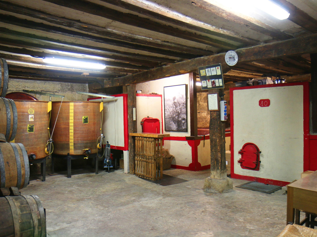 Bodega Teodoro Ruíz Monge景点图片