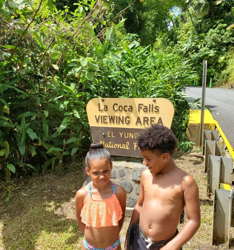 Catarata La Coca-云盖国家森林公园必去景点