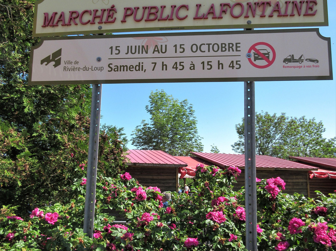 Marché Public Lafontaine景点图片
