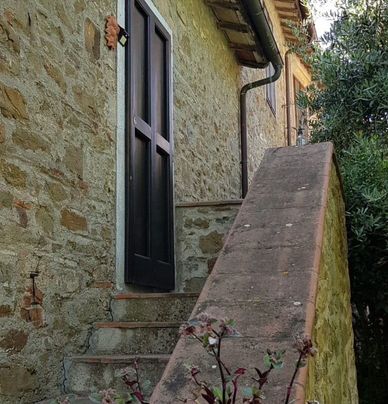 Poggio all'Olmo主图