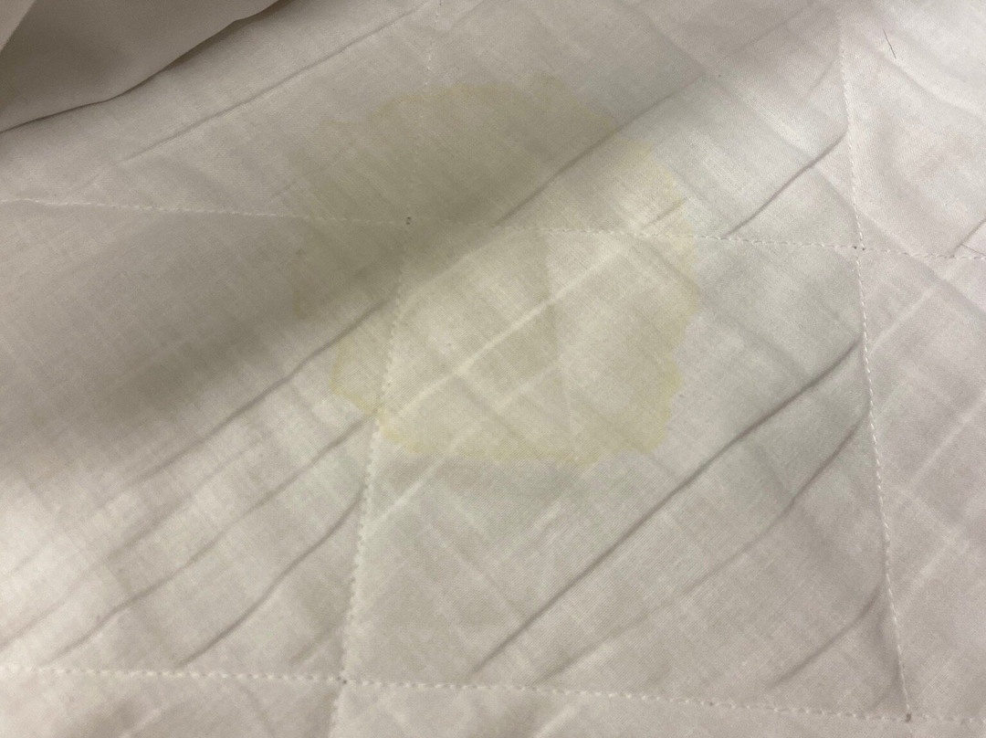 托尼度假酒店主图