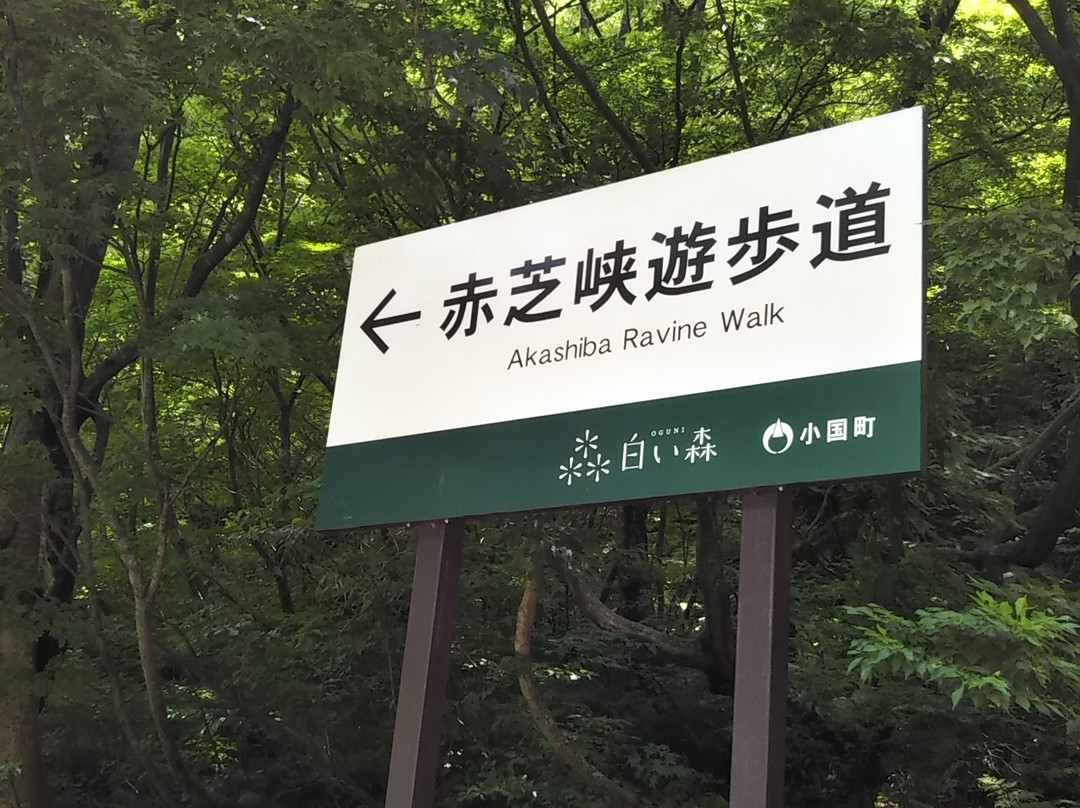Akashinakyo Gorge景点图片