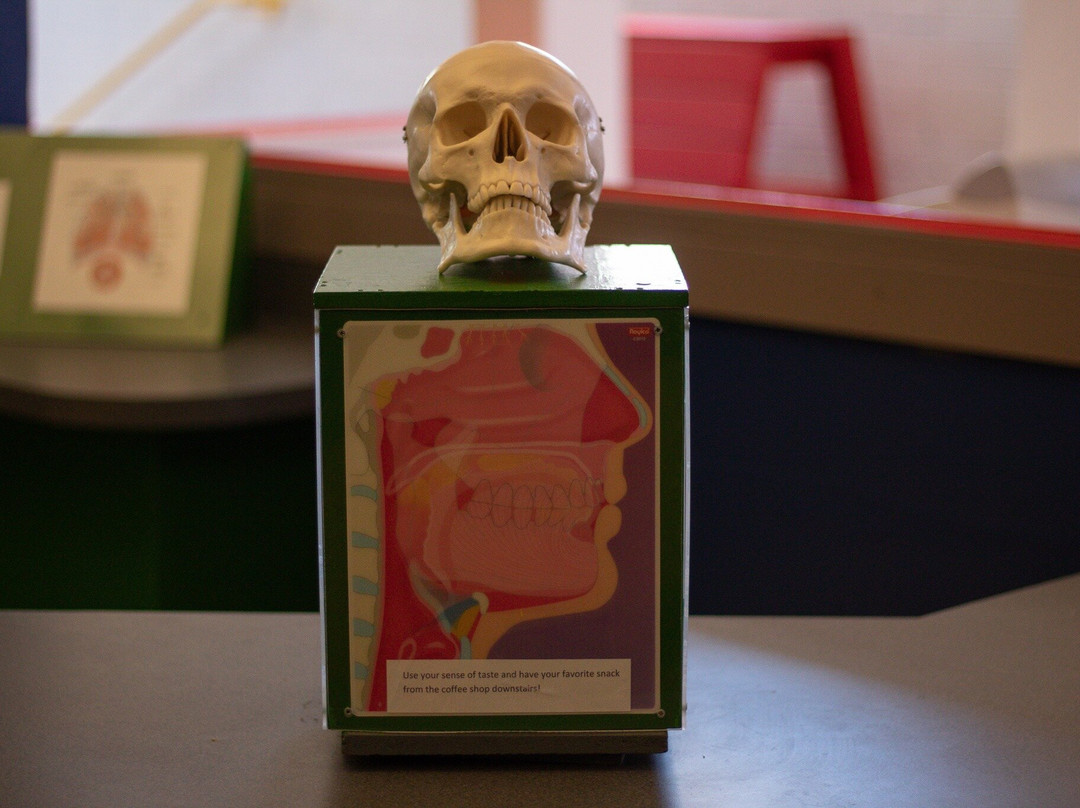 Children's Museum of Montana-大瀑布市必去景点