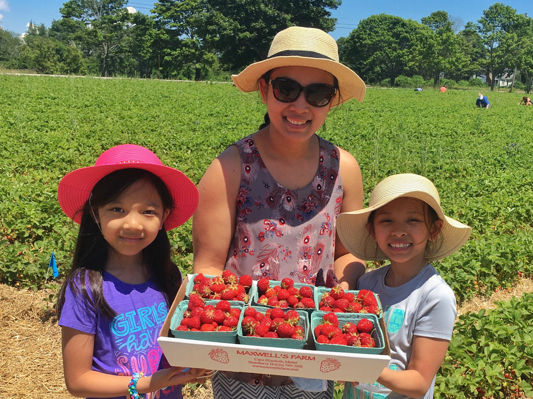 Maxwells Farm-开普伊丽莎白必去景点
