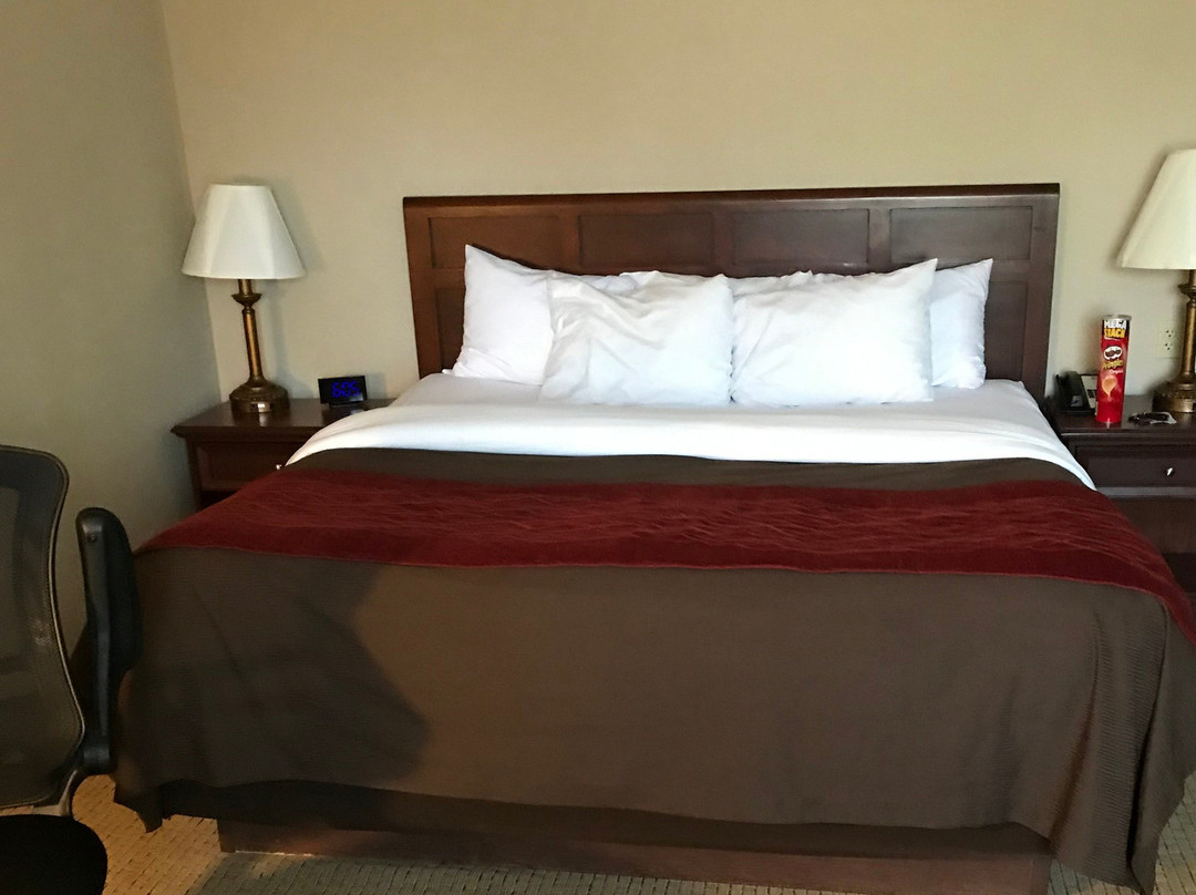 尤蒂卡康福特茵酒店主图