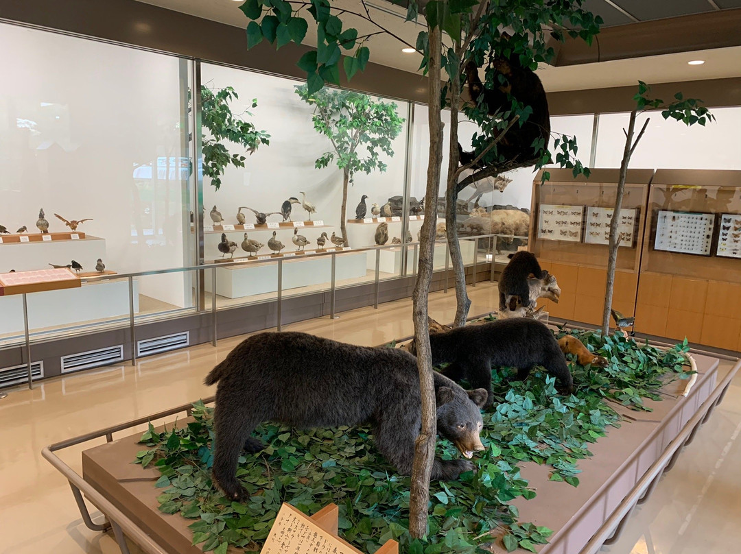 Ontake Kyukamura主图