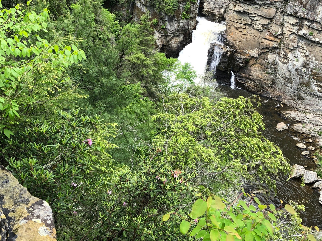 Linville Gorge Wilderness Area景点图片