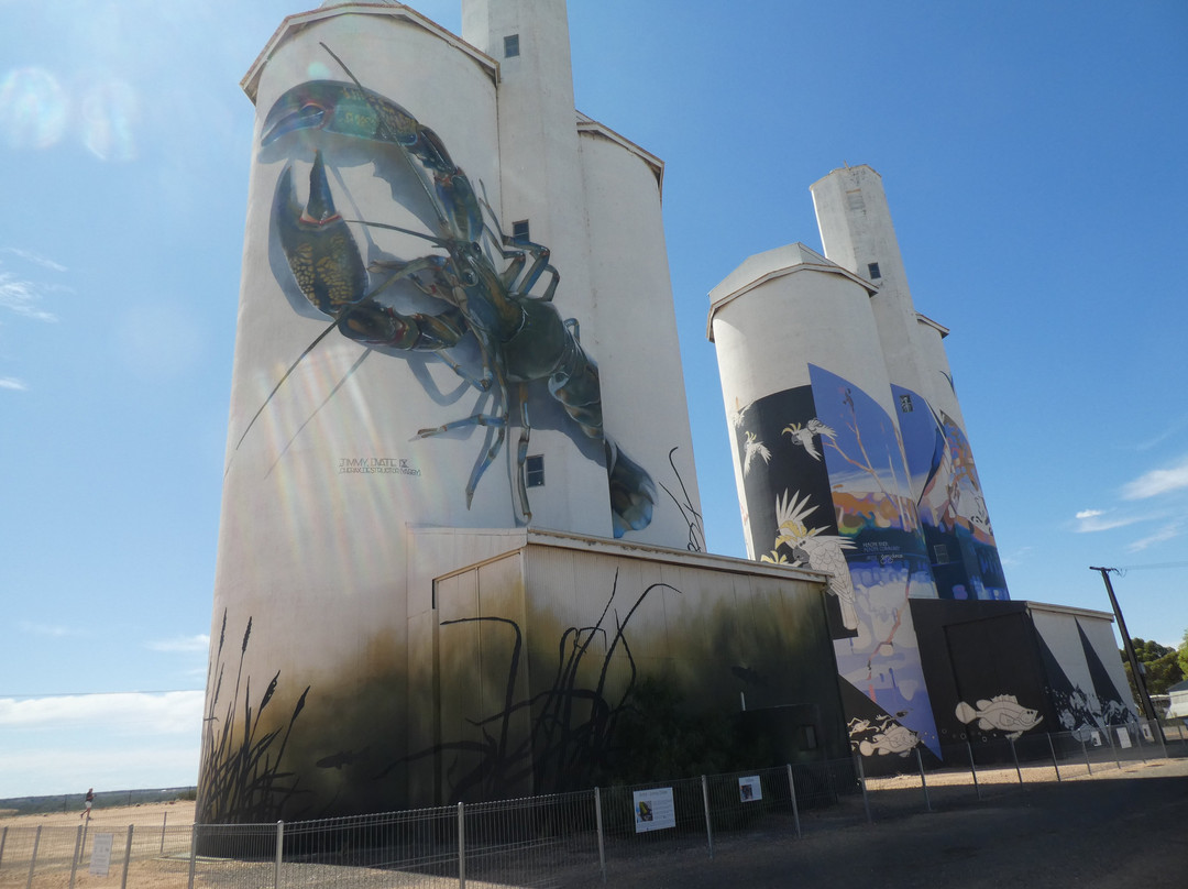 Waikerie Silo Art景点图片