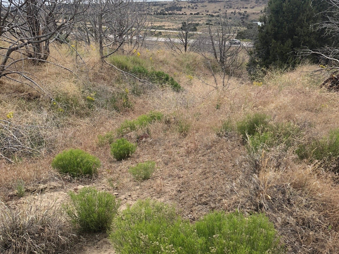 Massacre Rocks State Park-亚美利加福尔斯必去景点