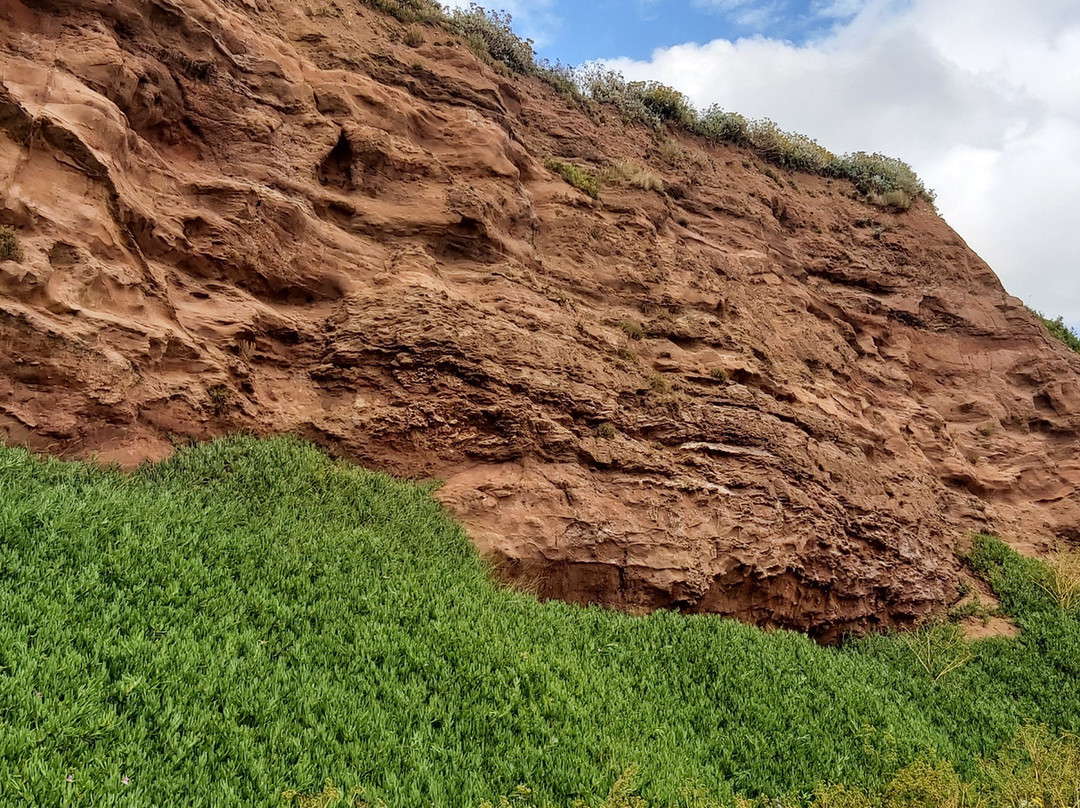 Red Rock Roots-Budleigh Salterton必去景点