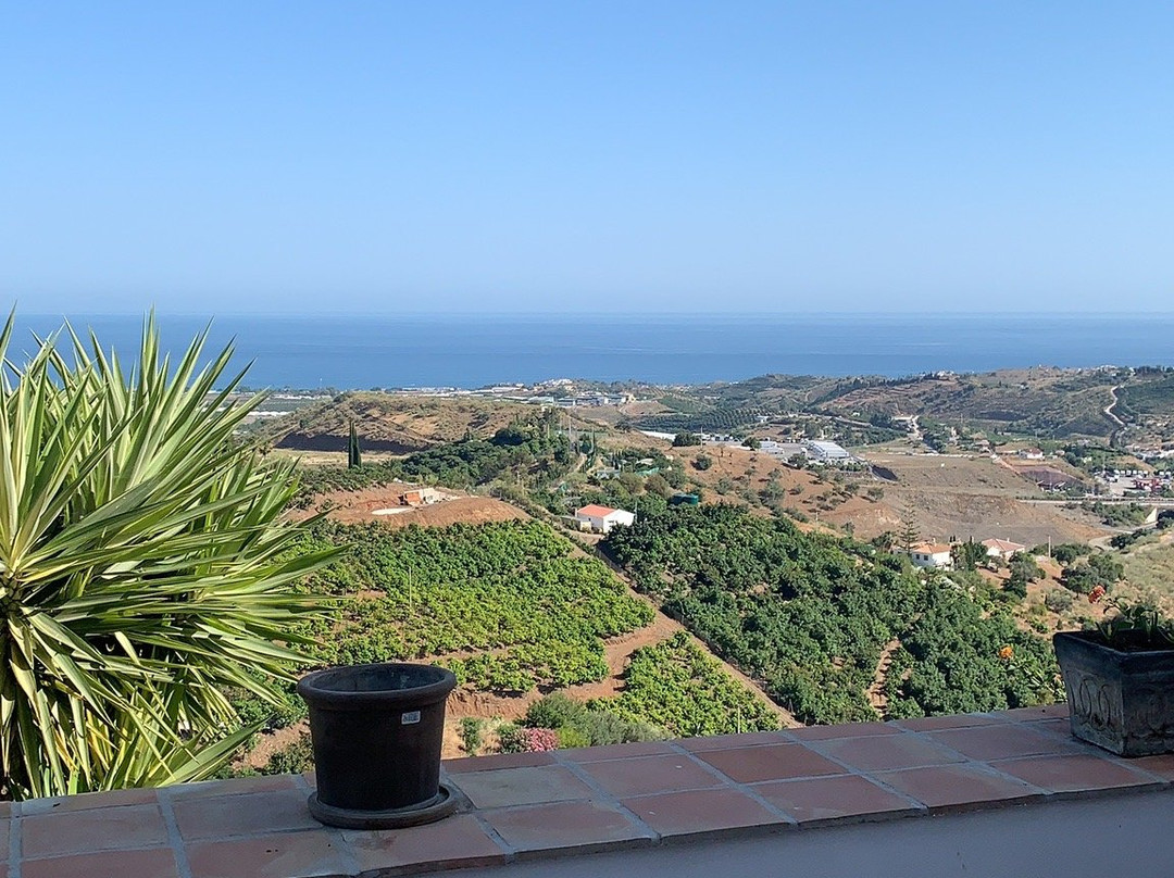 Finca la Vida Tranquila主图