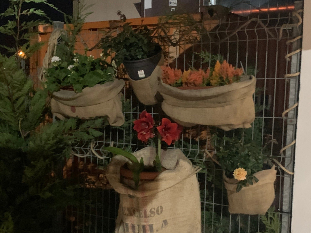 Soto de la Marina旅游攻略图片