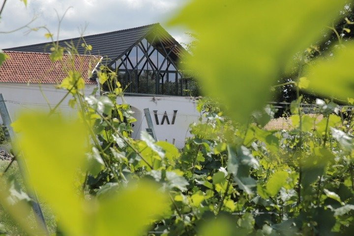 "Flânerie gourmande dans les vignes" par Domaine W景点图片