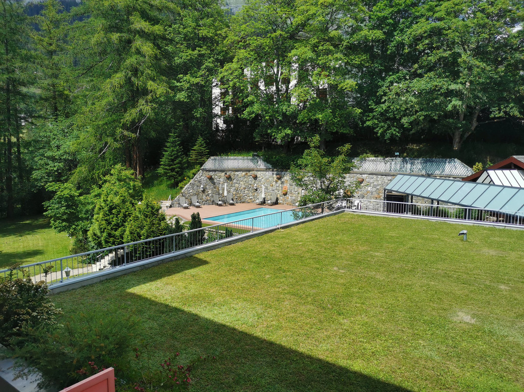 德索尔斯阿尔卑斯酒店主图