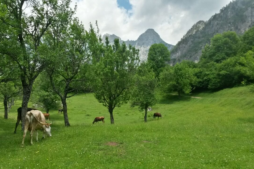 Albanian Alps Tours-Theth必去景点