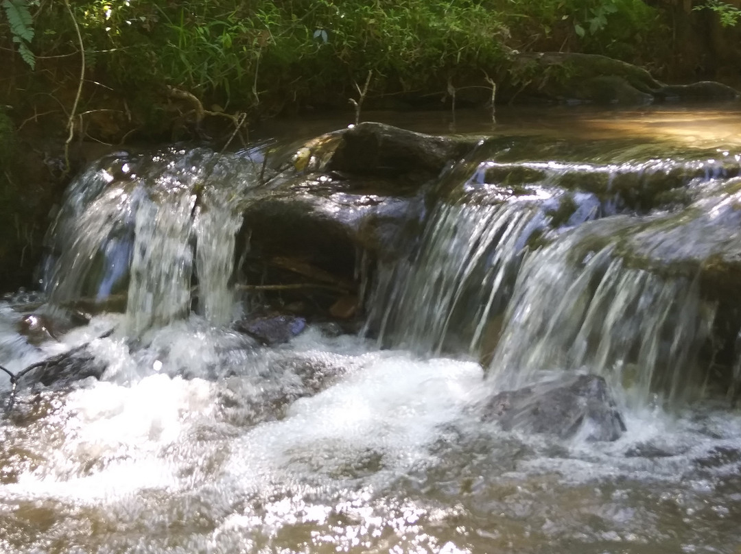 Emerald Hollow Mine-Hiddenite必去景点