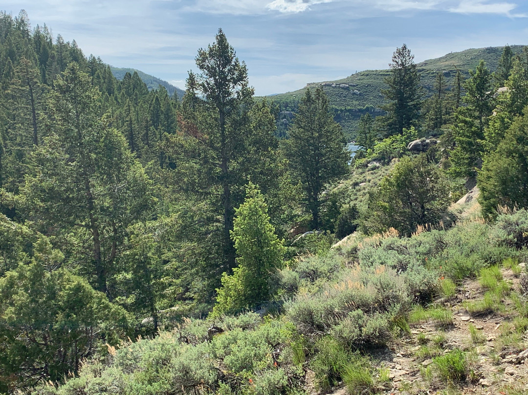 Strawberry Reservoir
