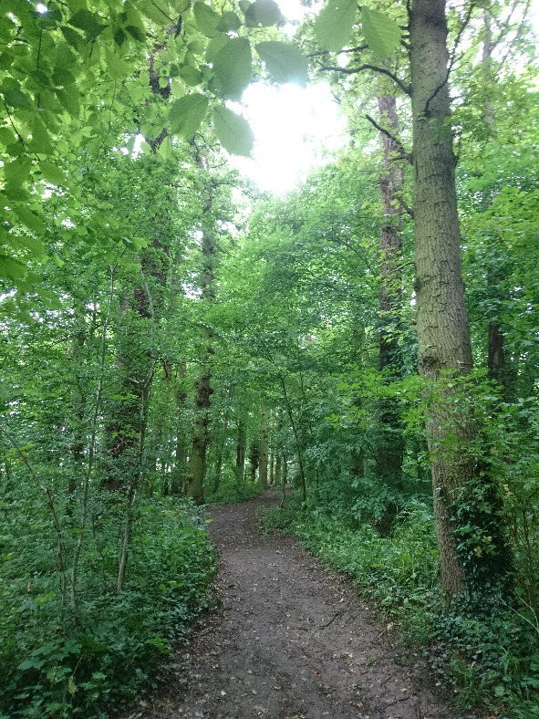 East Carlton Country Park-科比必去景点