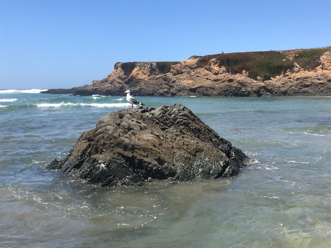 Surf & Sand Lodge主图