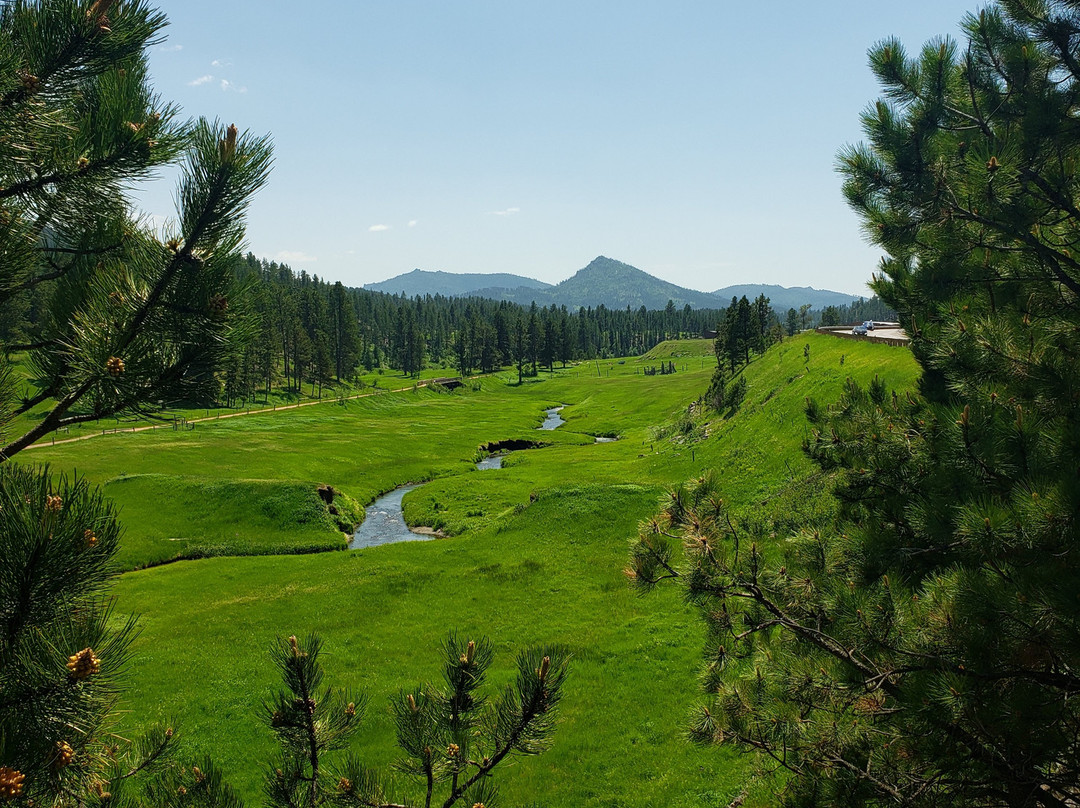 Black Hills Cabins and Motel at Quail's Crossing主图