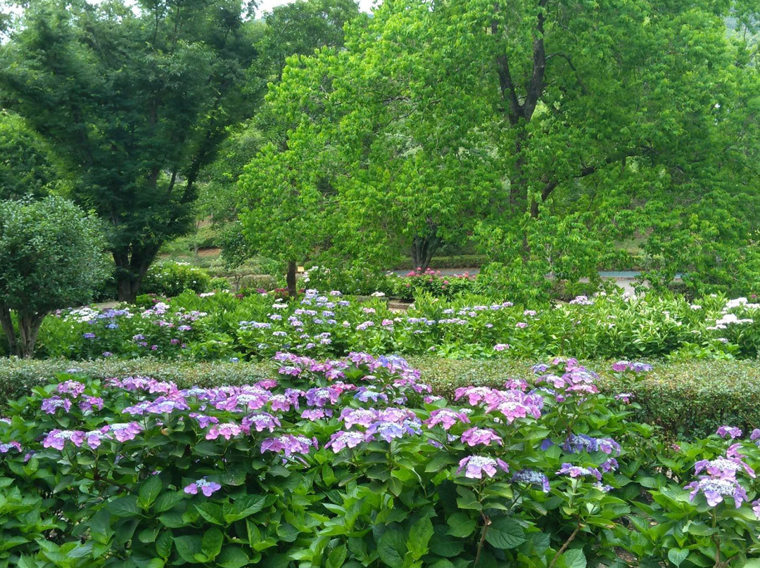 Shimin Shiki no Mori景点图片