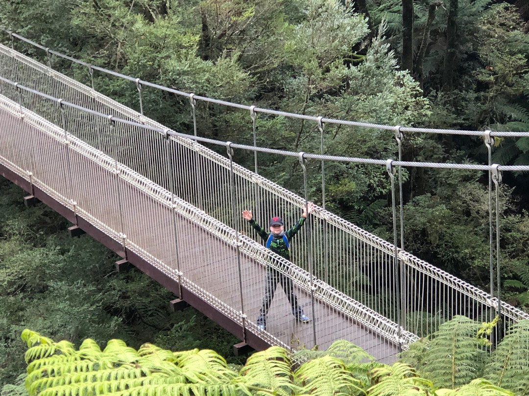 Corrigan's Suspension Bridge景点图片