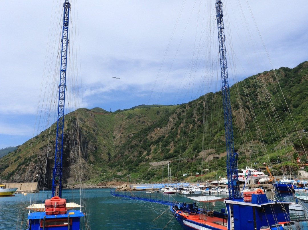 Porto di Bagnara景点图片