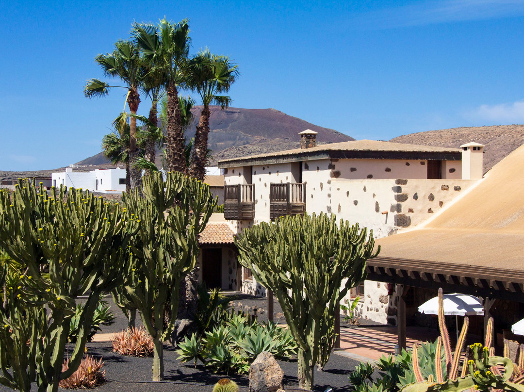 Hotel Boutique & Villas Oasis Casa Vieja主图