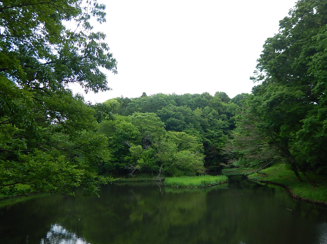 Zama Yatoyama Park-座间市必去景点