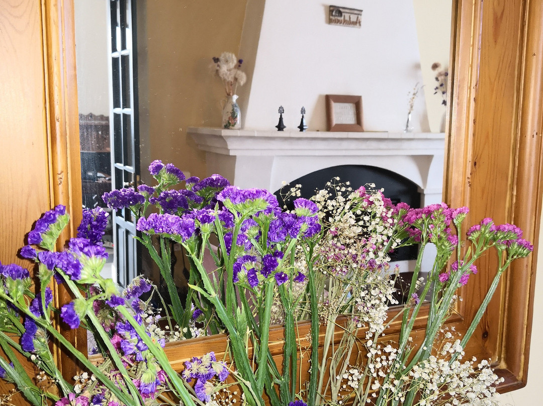 Hotel Casa Tinoco主图