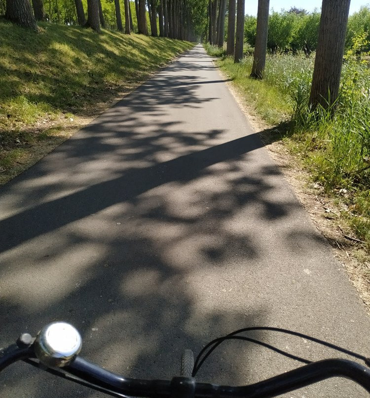 Maerlant Bicycle Trail景点图片