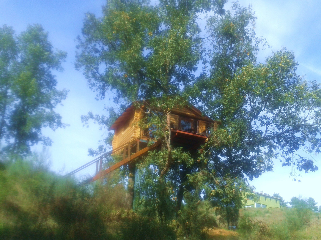 Cabanas en los Arboles de Extremadura
