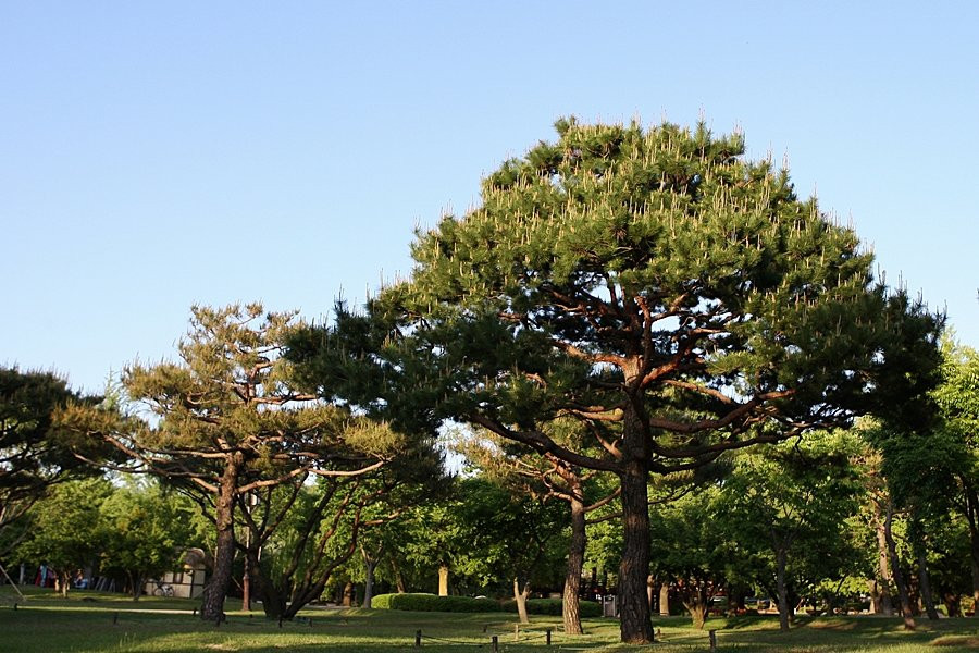 Gwanghallu Pavilion-南原市必去景点