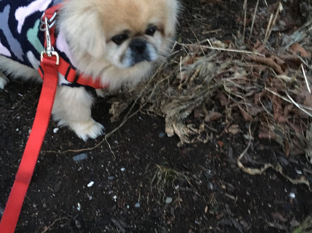 米德尔敦/纽波特快捷假日酒店主图