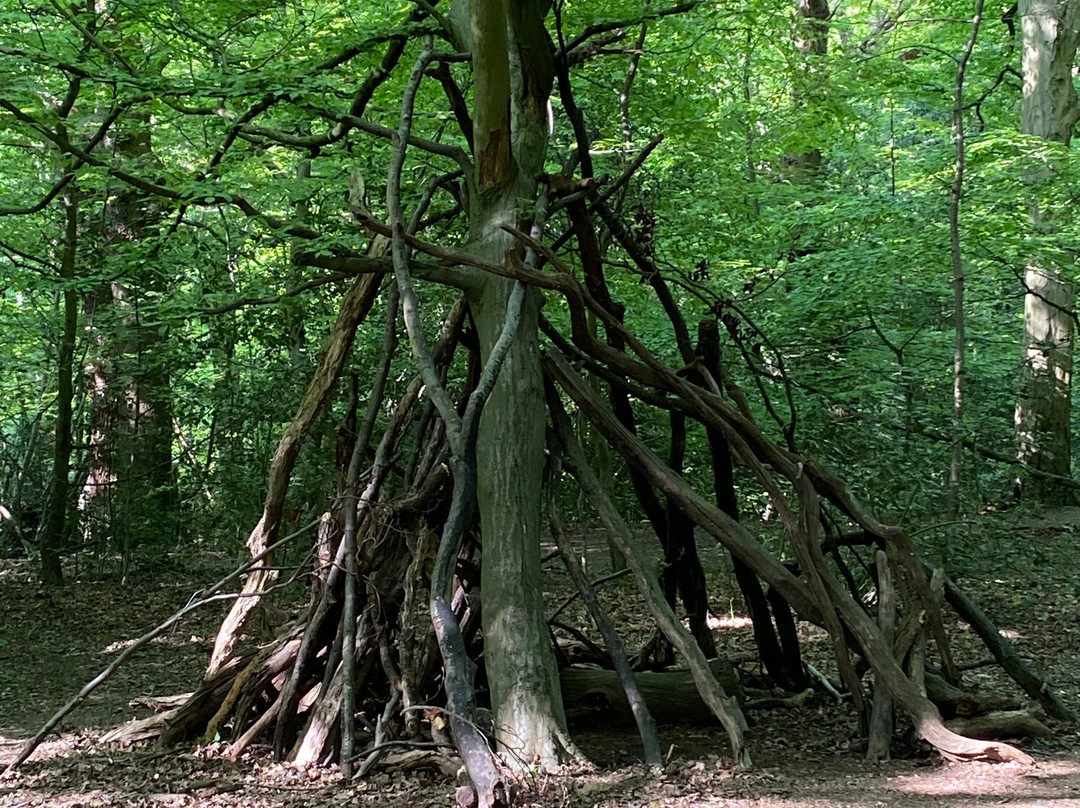 Queen's Wood-Crouch End必去景点