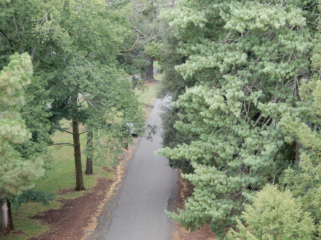 Wombat Hill Pioneer Memorial Tower-戴尔斯福特必去景点