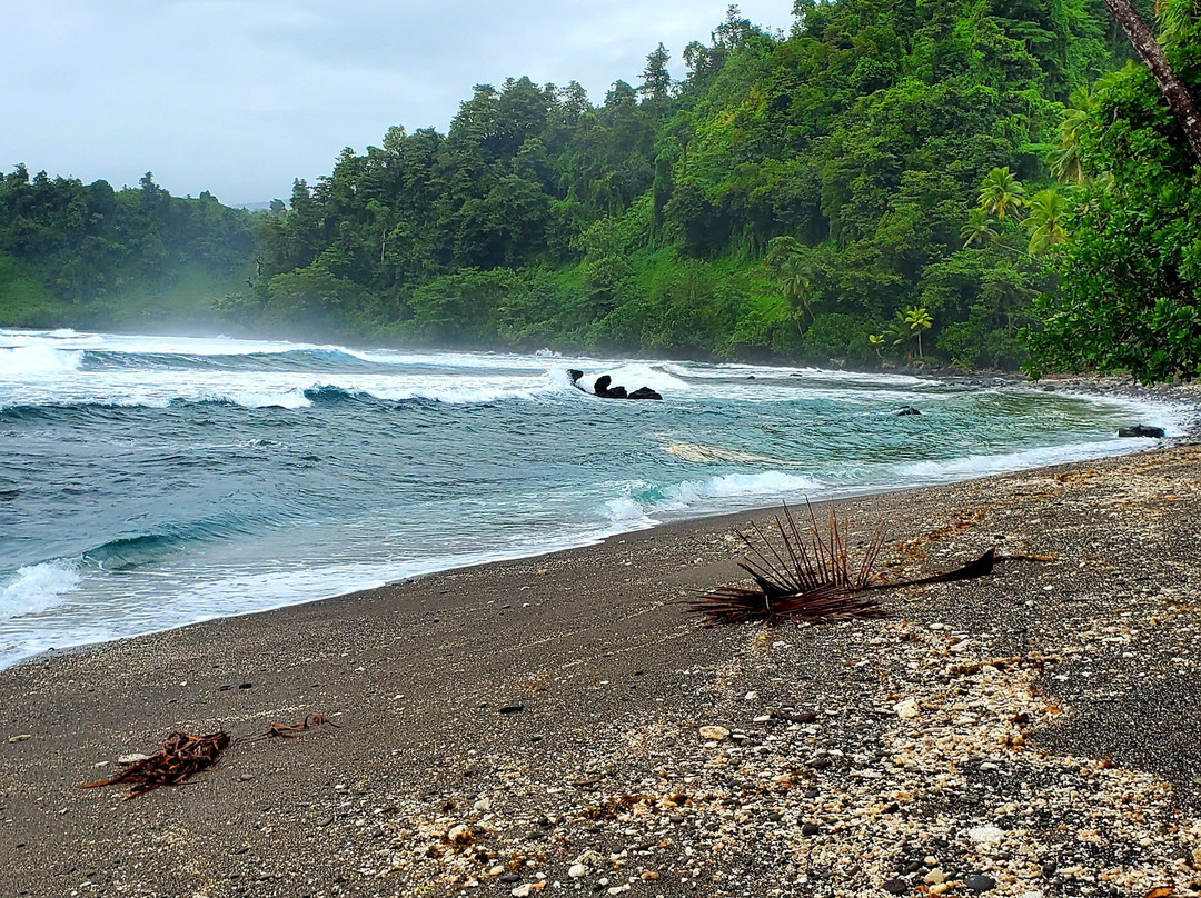 Lavena Coastal Walk-塔韦乌尼岛必去景点