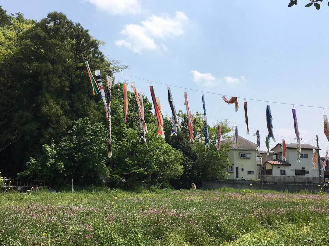 The Village of Osawa-三鹰市必去景点