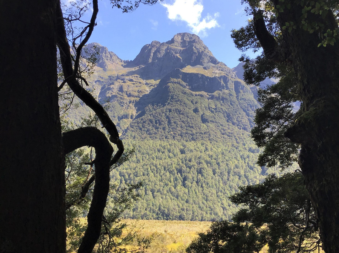 Mirror Lakes Walk景点图片