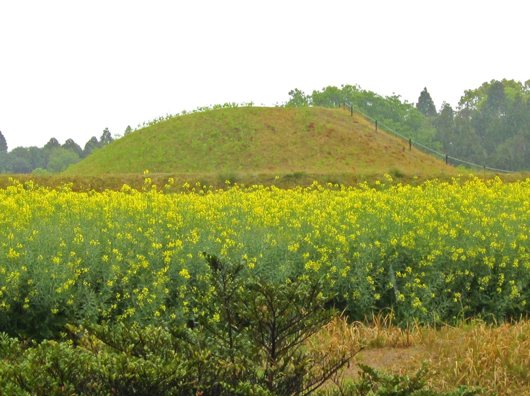 Saitobaru Tomb-西都市必去景点
