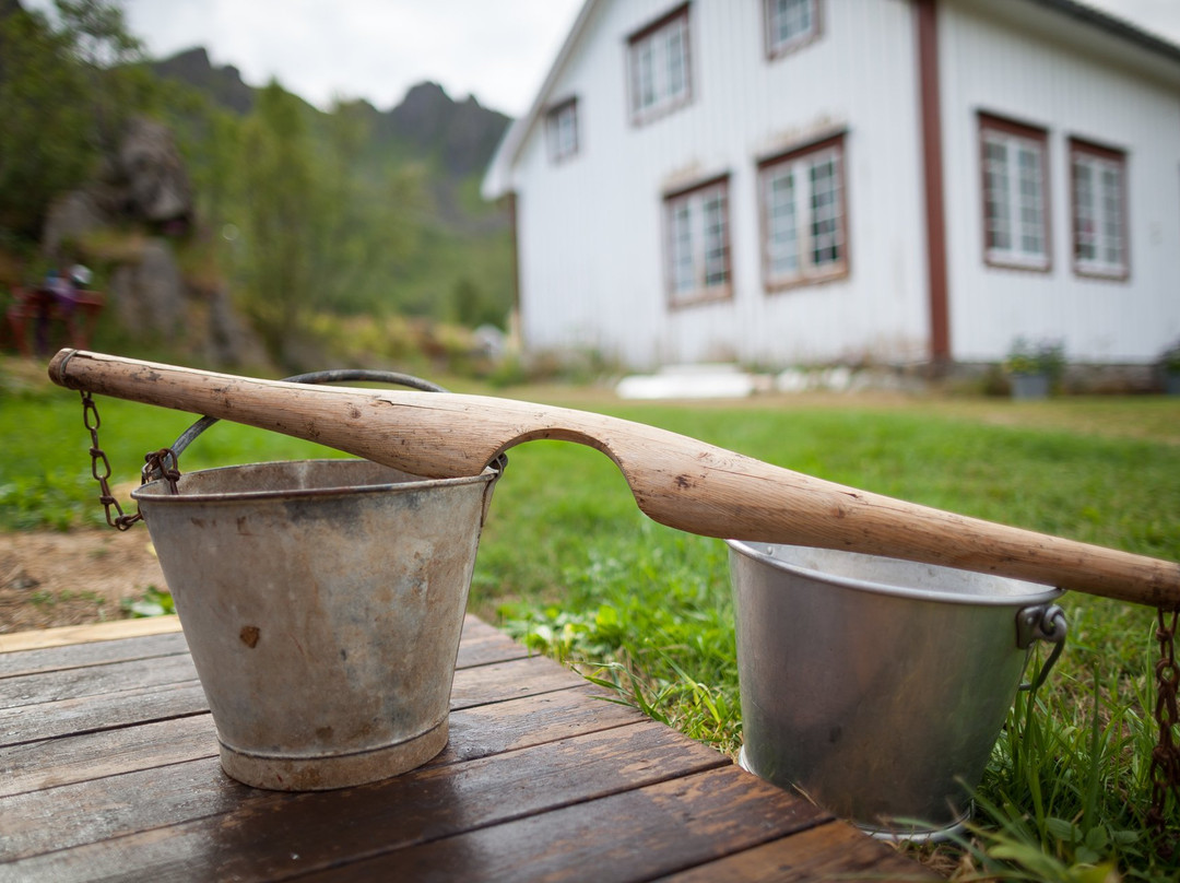 Skaftnes gård (farm)景点图片